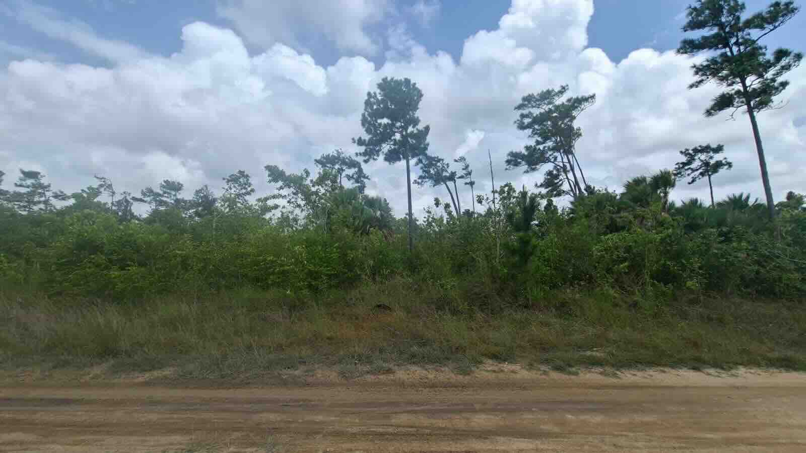 LOT NO. 295 GUTIEVIEW AREA, INDEPENDENCE VILLAGE, STANN CREEK DISTRICT: