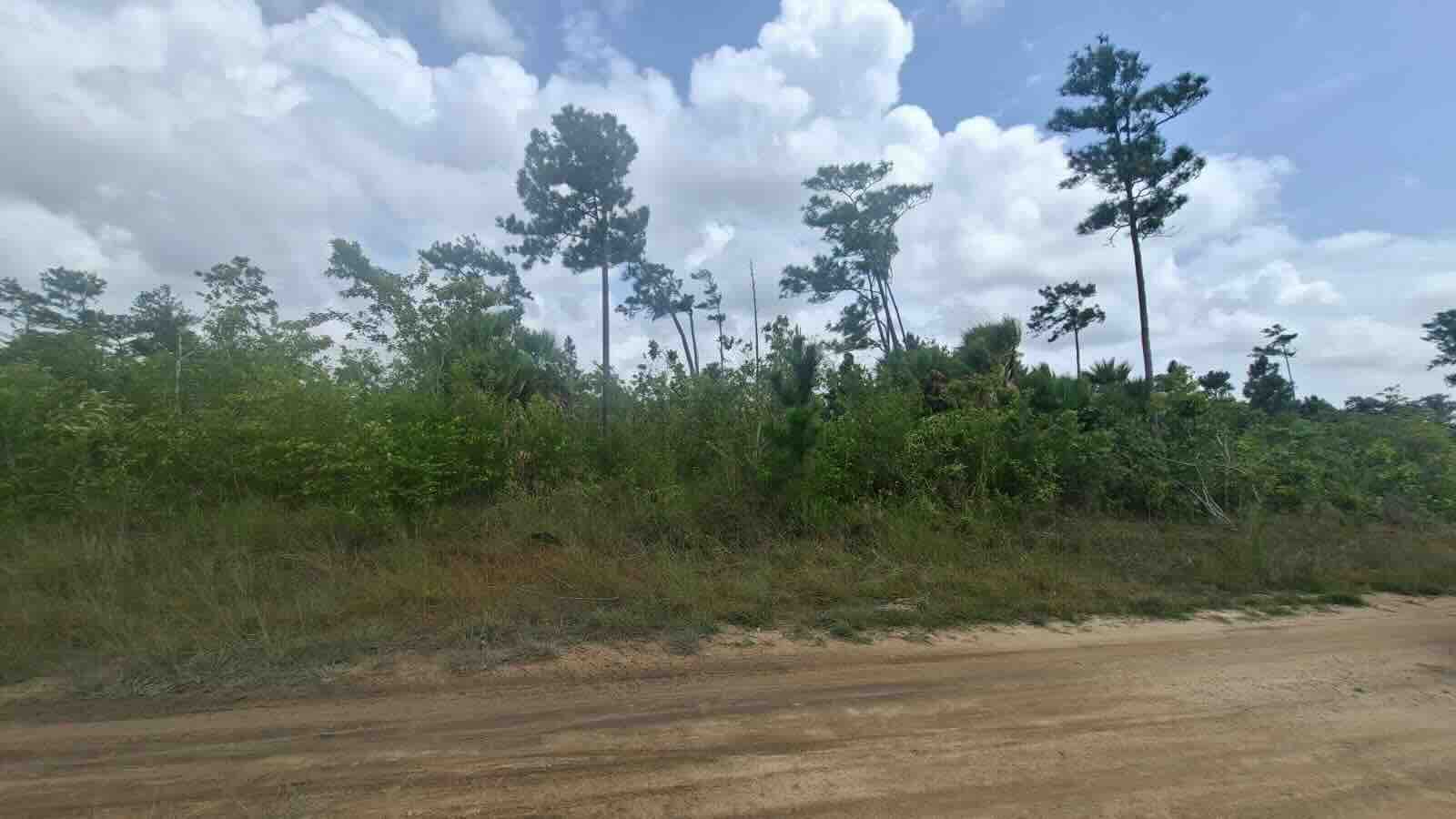 LOT NO. 295 GUTIEVIEW AREA, INDEPENDENCE VILLAGE, STANN CREEK DISTRICT: - Image 3