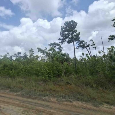 LOT NO. 295 GUTIEVIEW AREA, INDEPENDENCE VILLAGE, STANN CREEK DISTRICT: