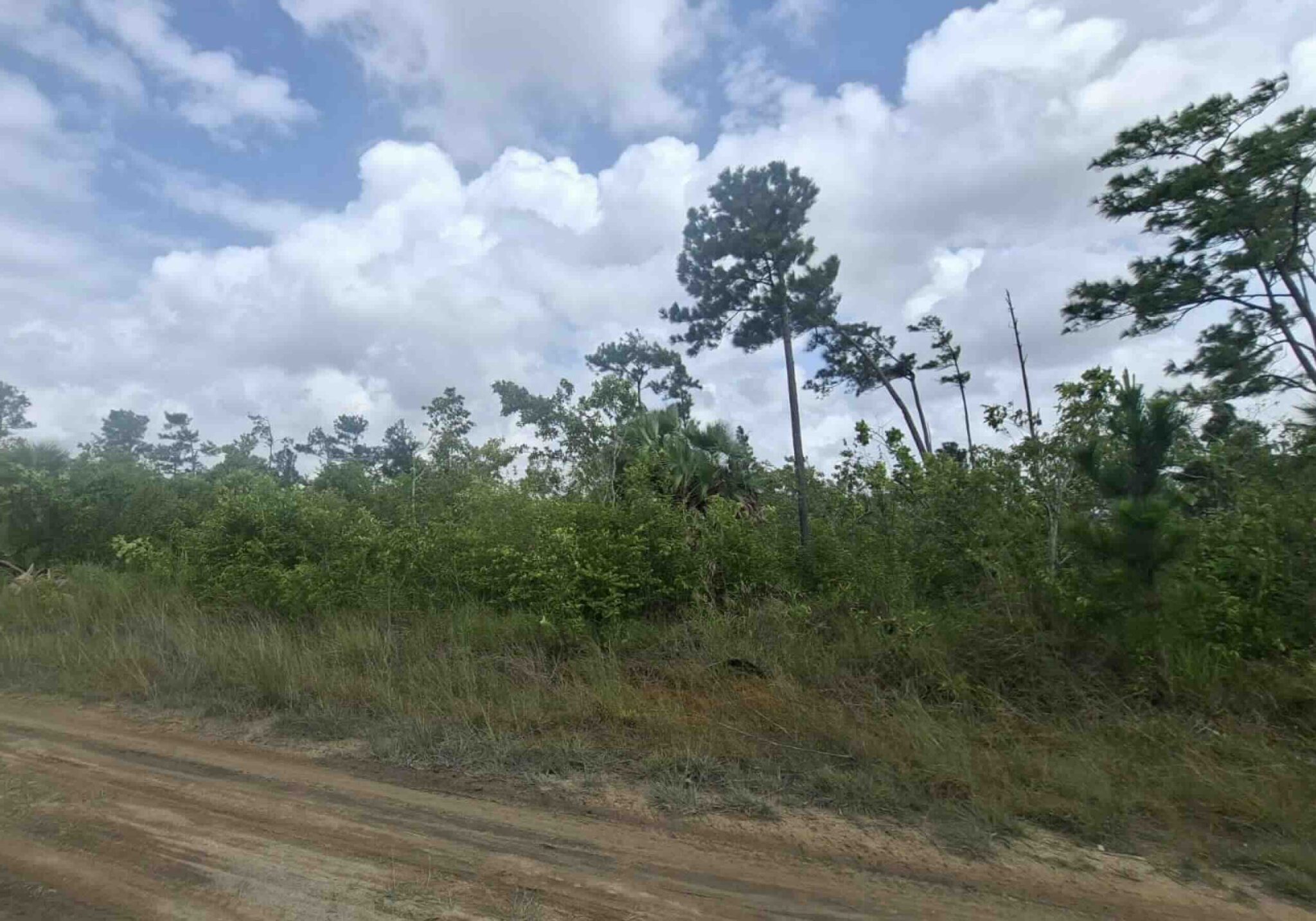 LOT NO. 295 GUTIEVIEW AREA, INDEPENDENCE VILLAGE, STANN CREEK DISTRICT: - Image 2
