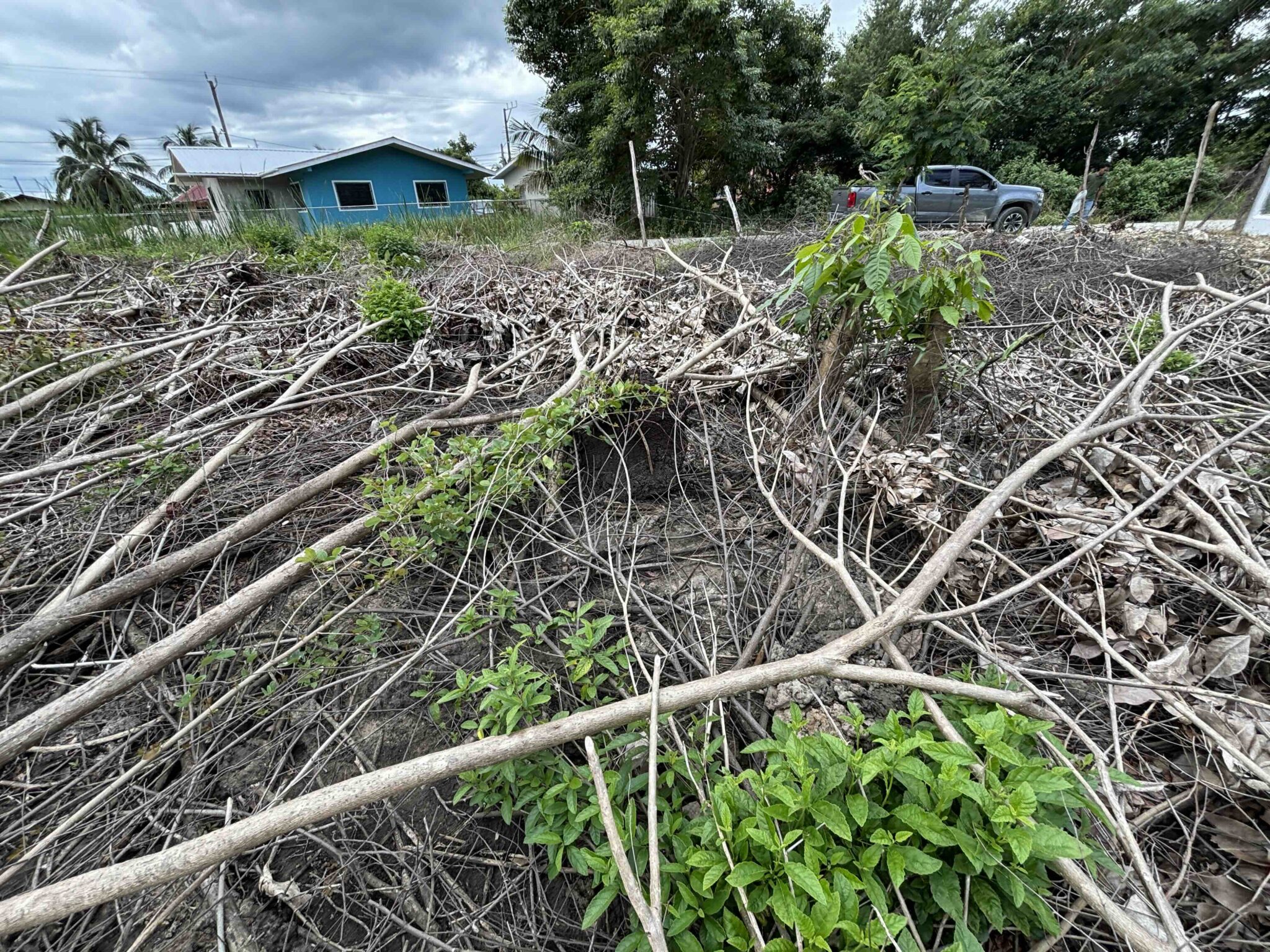 PARCEL NO. 903 OCEAN JACK AVENUE, VISTA DEL MAR, LADYVILLE, BELIZE DISTRICT: - Image 7