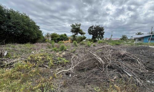 PARCEL NO. 903 OCEAN JACK AVENUE, VISTA DEL MAR, LADYVILLE, BELIZE DISTRICT: