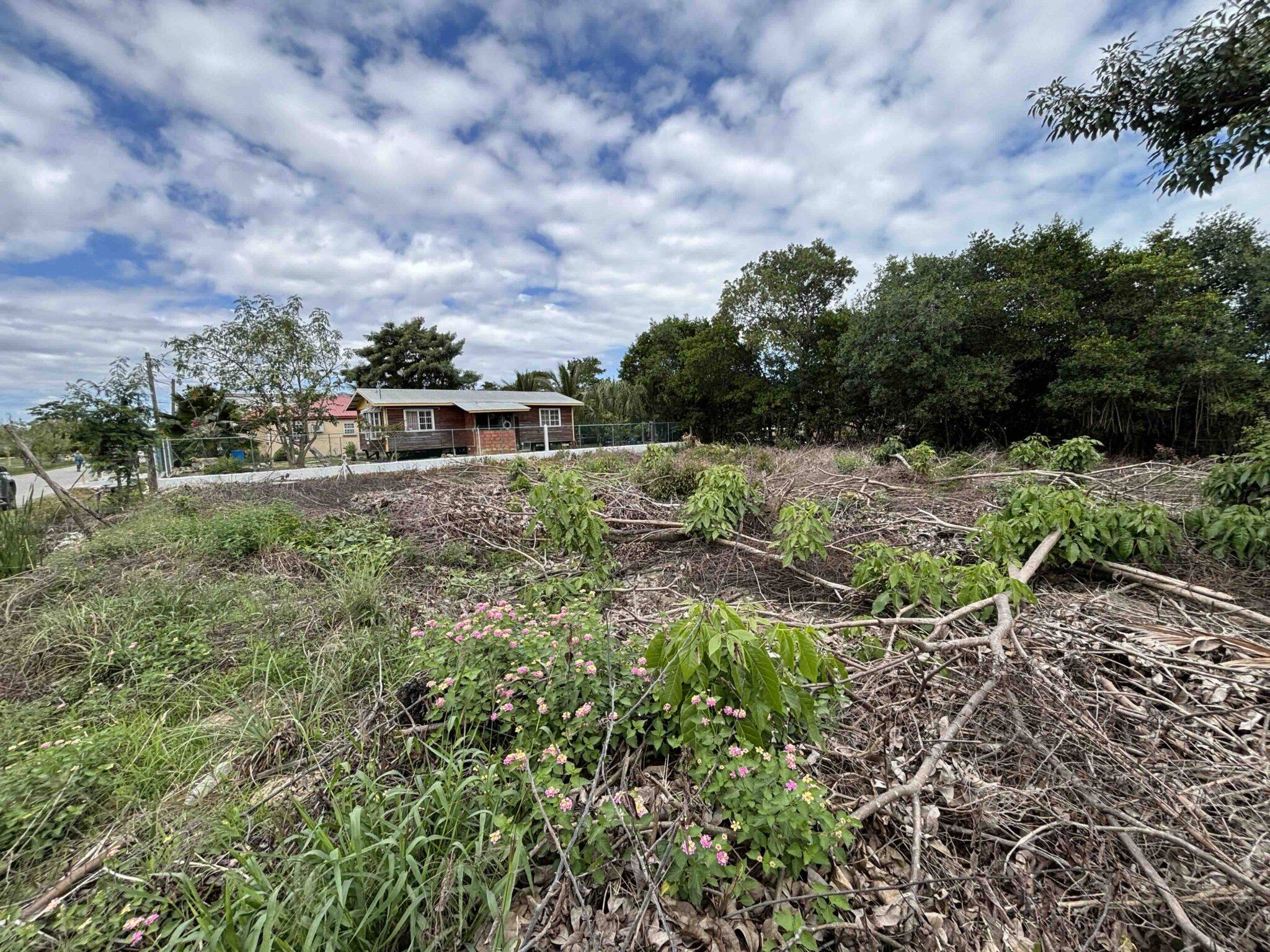 PARCEL NO. 903 OCEAN JACK AVENUE, VISTA DEL MAR, LADYVILLE, BELIZE DISTRICT: - Image 10