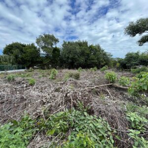 PARCEL NO. 904 OCEAN JACK AVENUE, VISTA DEL MAR, LADYVILLE, BELIZE DISTRICT: