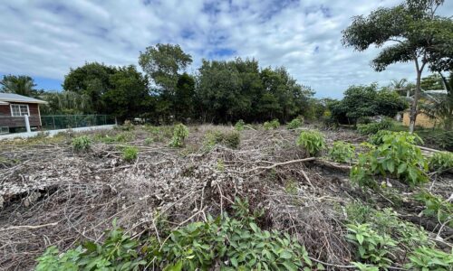 PARCEL NO. 904 OCEAN JACK AVENUE, VISTA DEL MAR, LADYVILLE, BELIZE DISTRICT: