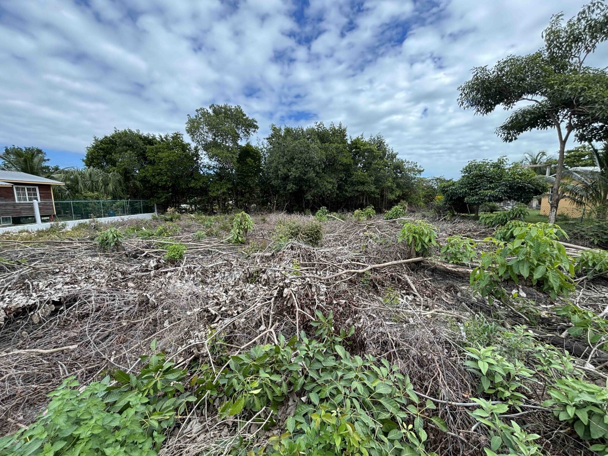 PARCEL NO. 903 OCEAN JACK AVENUE, VISTA DEL MAR, LADYVILLE, BELIZE DISTRICT: - Image 3