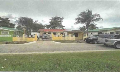 PARCEL NO. 123 TOPACHICK STREET, VISTA DEL MAR, LADYVILLE, BELIZE DISTRICT: