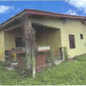 LOT NO. 131 SITUATE IN BULLET TREE FALLS VILLAGE, CAYO DISTRICT:
