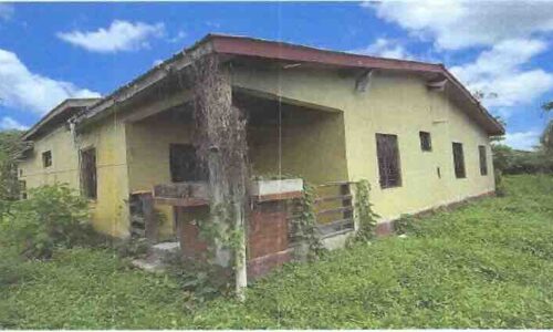 LOT NO. 131 SITUATE IN BULLET TREE FALLS VILLAGE, CAYO DISTRICT: