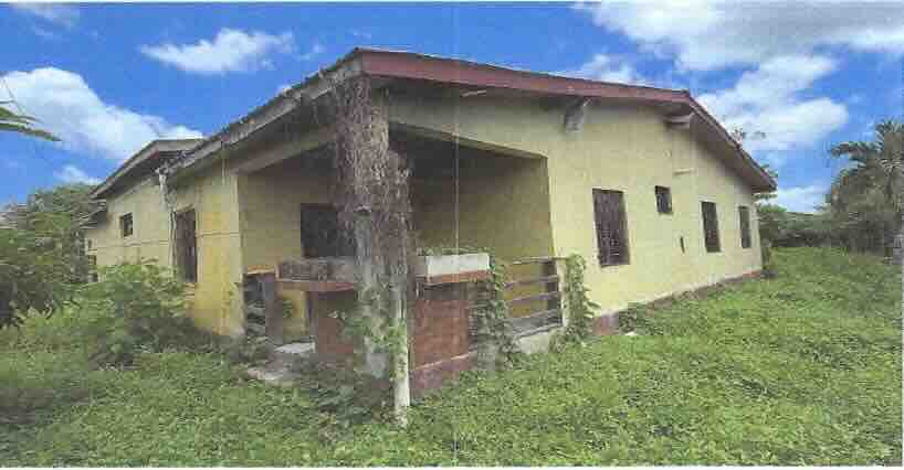 LOT NO. 131 SITUATE IN BULLET TREE FALLS VILLAGE, CAYO DISTRICT: