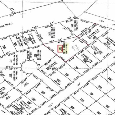 LOT NO. 131 SITUATE IN BULLET TREE FALLS VILLAGE, CAYO DISTRICT: