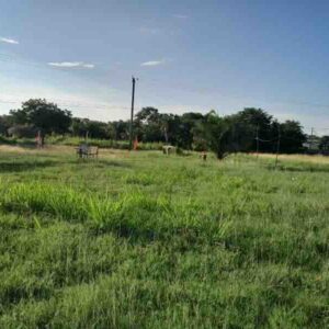 PARCEL NO. 938 SAN JOSE PALMAR VILLAGE, ORANGE WALK DISTRICT, BELIZE: