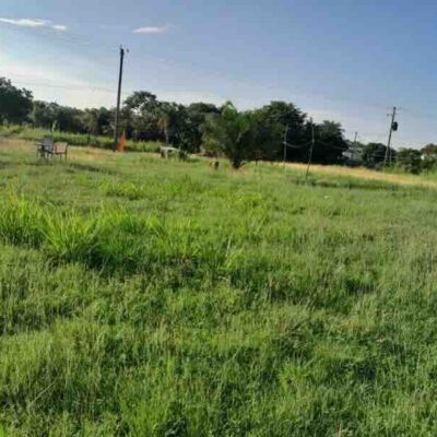 PARCEL NO. 938 SAN JOSE PALMAR VILLAGE, ORANGE WALK DISTRICT, BELIZE: