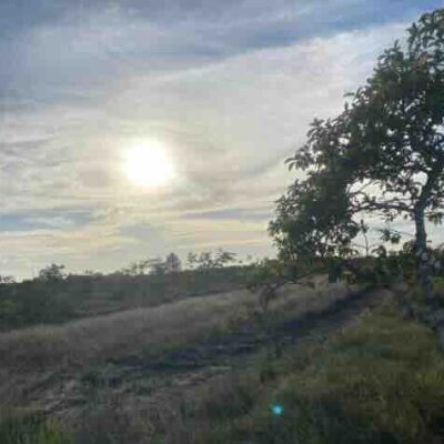 LOT NO. 1655 SITUATE IN GUTIVIEW AREA, INDEPENDENCE VILLAGE, STANN CREEK DISTRICT, BELIZE: