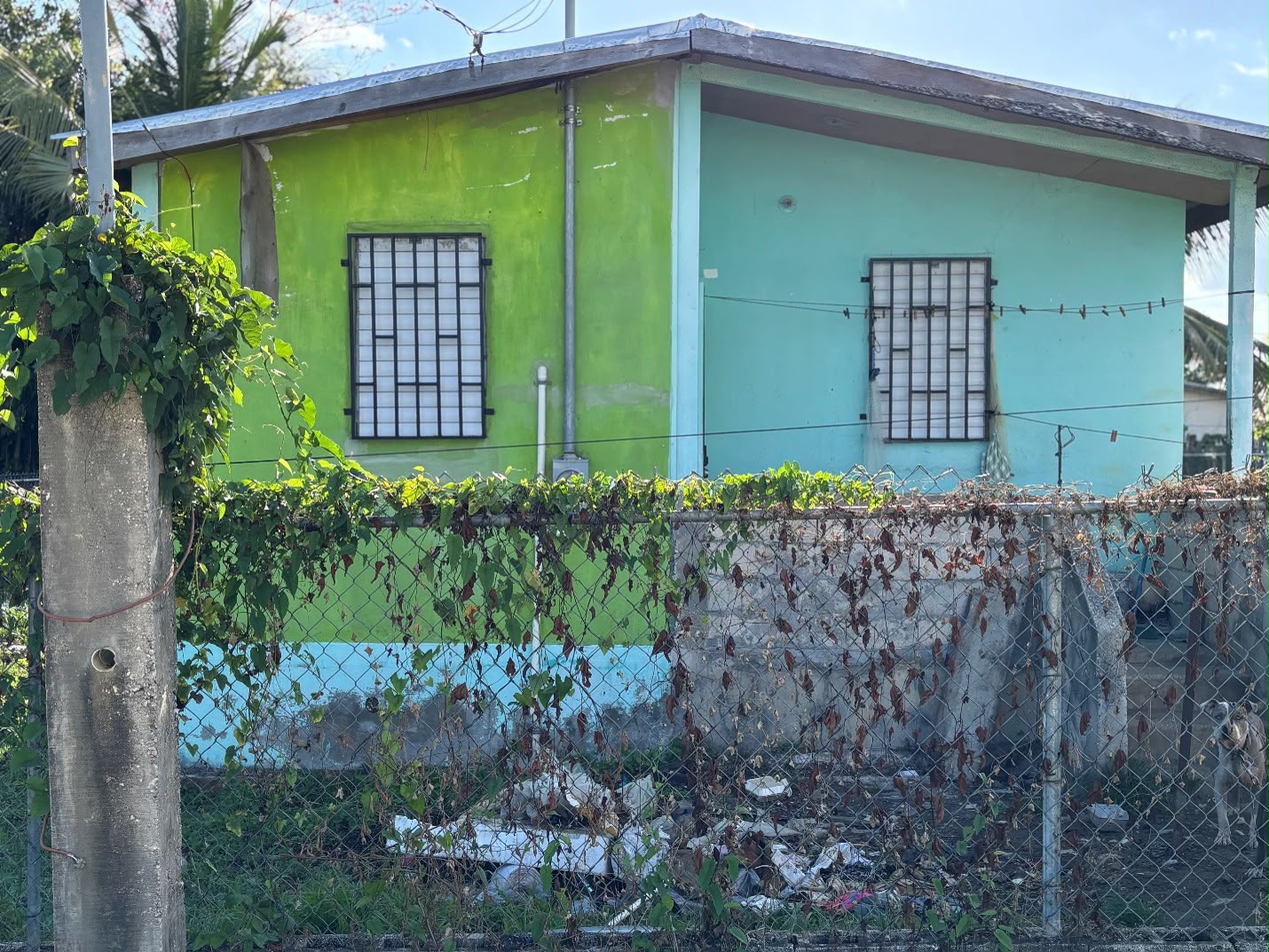 Parcel No. 5984 LORD’S BANK AREA, LADYVILLE , BELIZE DISTRICT: - Image 2