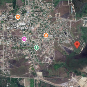 LOT NO. 3 SITUATE SOUTH OF INDEPENDENCE VILLAGE AND ALONG THE PLACENCIA LAGOON, STANN CREEK DISTRICT: