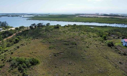 LOT NO. 3 SITUATE SOUTH OF INDEPENDENCE VILLAGE AND ALONG THE PLACENCIA LAGOON, STANN CREEK DISTRICT:
