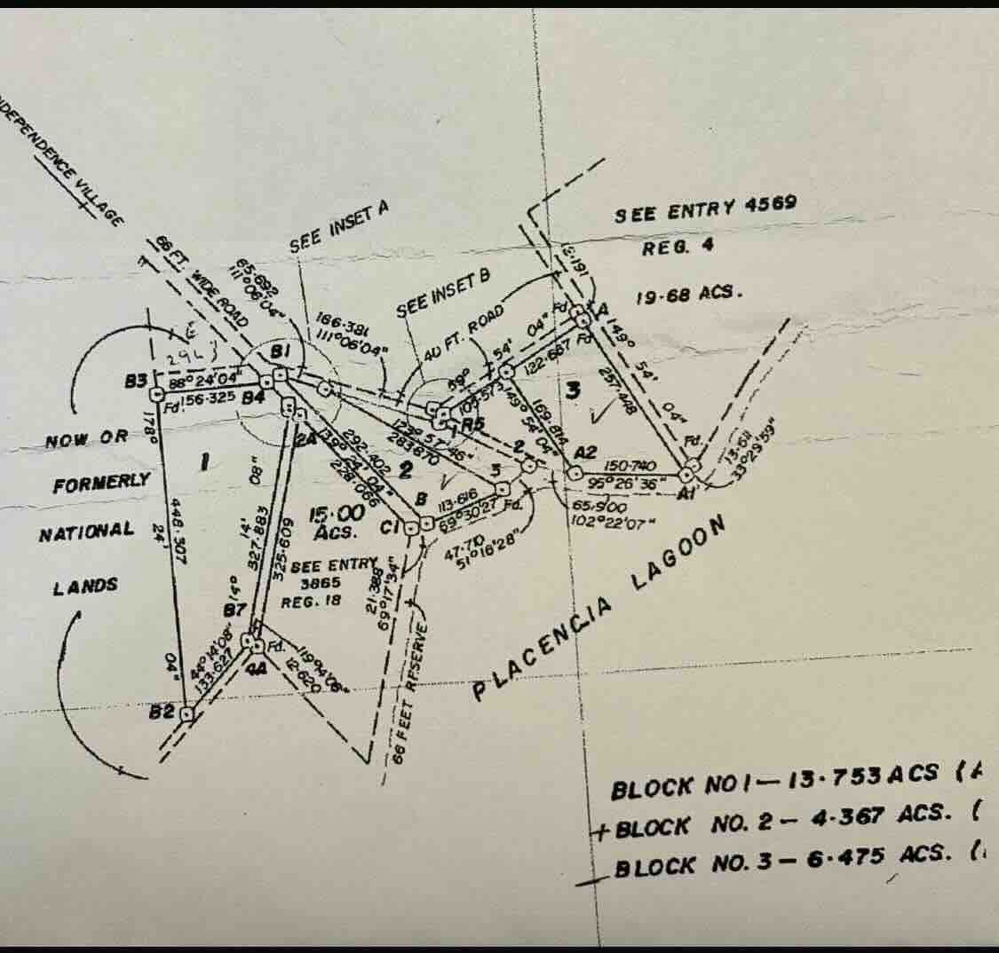 LOT NO. 3 SITUATE SOUTH OF INDEPENDENCE VILLAGE AND ALONG THE PLACENCIA LAGOON, STANN CREEK DISTRICT: - Image 10